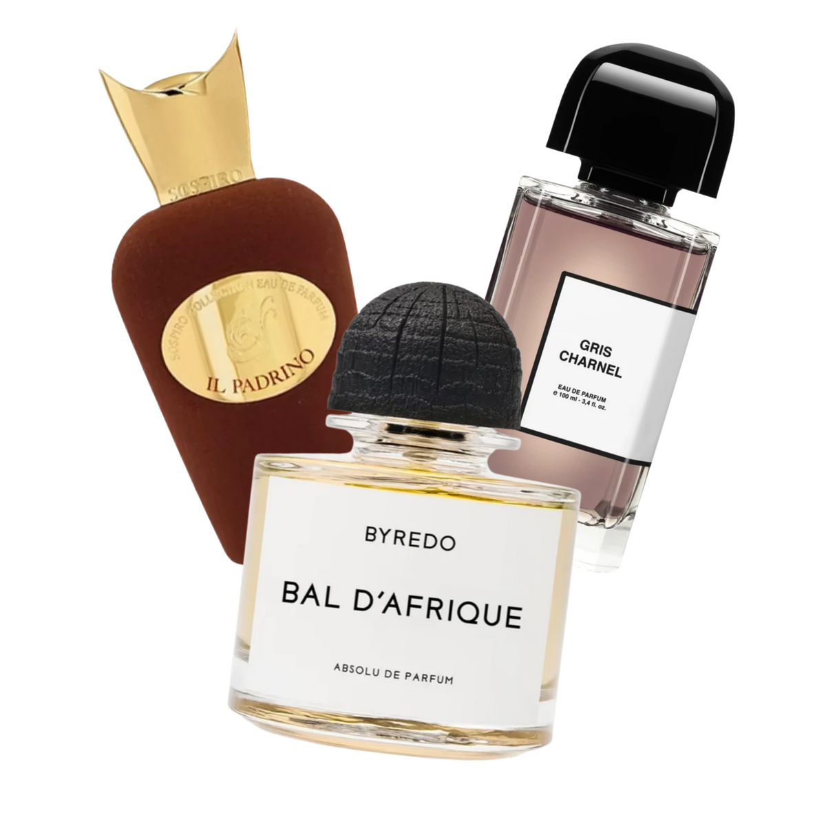 Fall Niche Daily Bundle