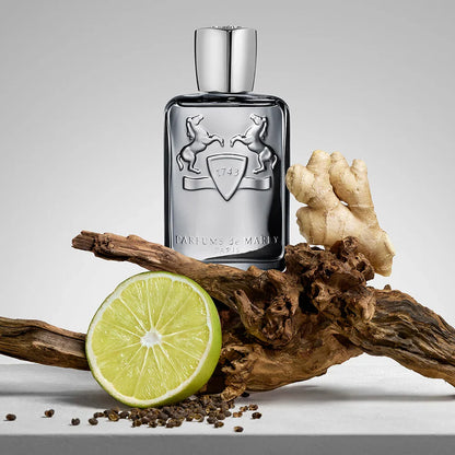 Parfum De Marly Castley, EDP